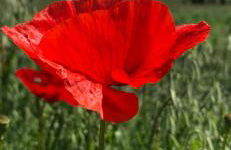 ElleCi Casa Vacanze - Photo 59