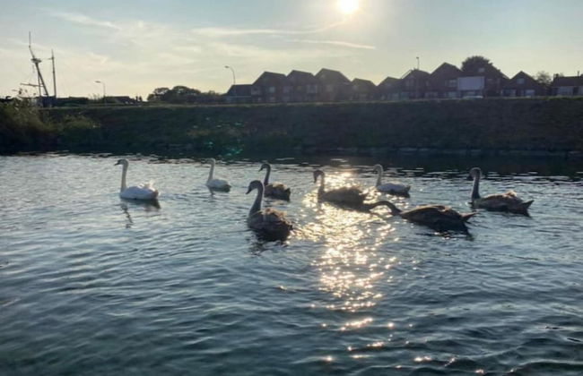 Villa Oesterdam Sleeps 10 Persons - Photo 28