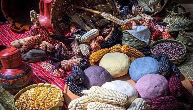 Taller de tortillas de maíz