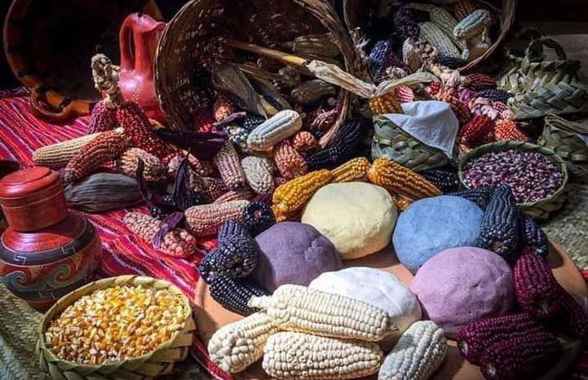 Tortilla-Making Class - Photo 4