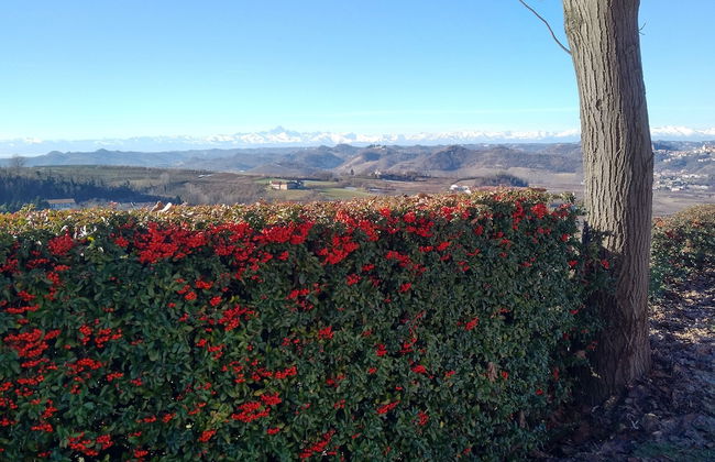 Cascina Cortine - Foto 46