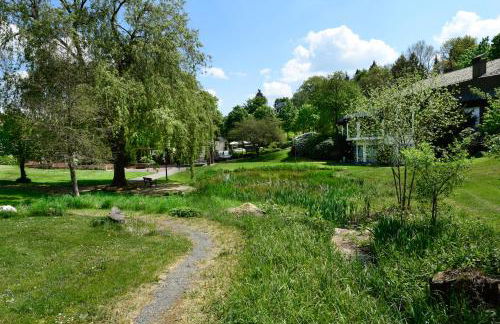 Der Eifel Perle Manderscheid - Foto 30