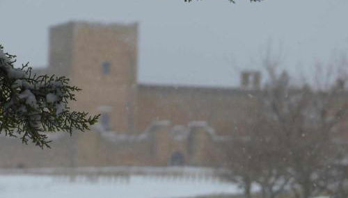 La casa de Don - Foto 2