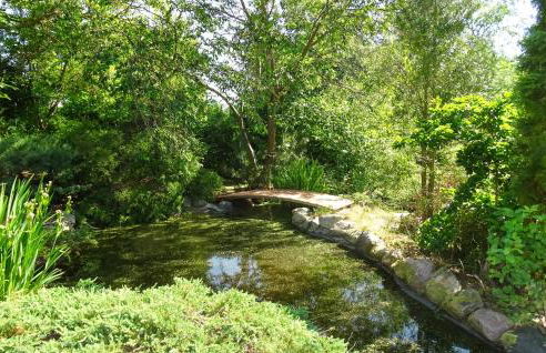 Lovely Home In Pinnow Ot Godern - Foto 8