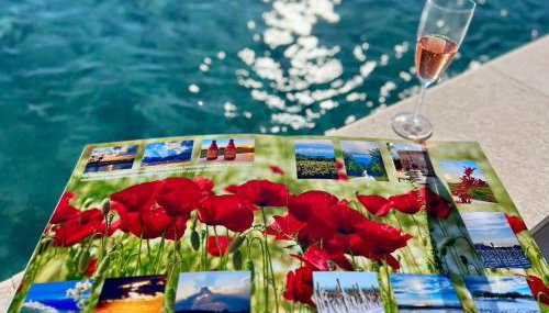 Villa Vinova Loza - Foto 3