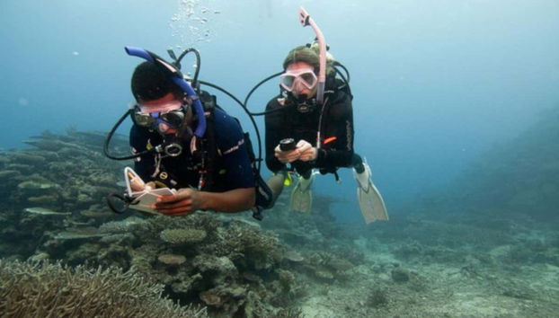 PADI Advanced Open Water Diver Course - Foto 2