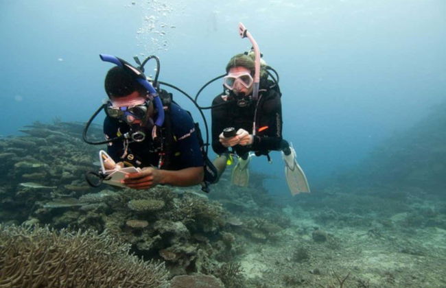 Curso PADI Advanced Open Water Diver - Foto 1