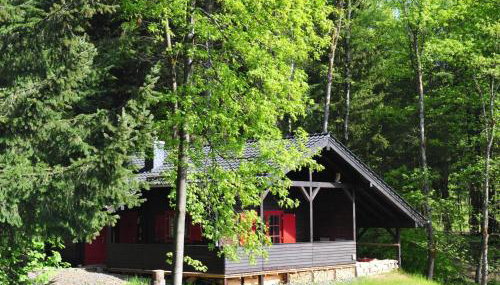 Holiday Home Blockhaus Bodefall by Interhome - Foto 1