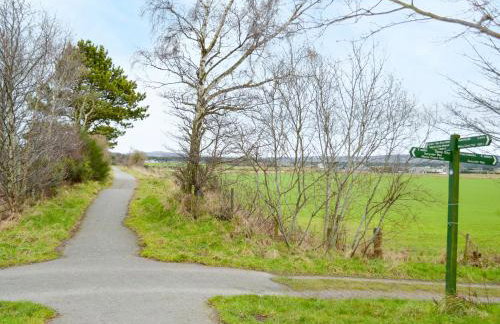 March Brown - Foto 11