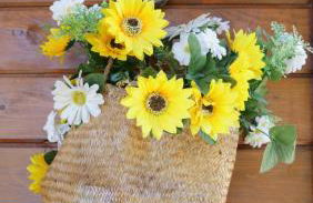 Casa Margarida, Quinta Carmo - Alcobaça - Nazaré - Foto 4