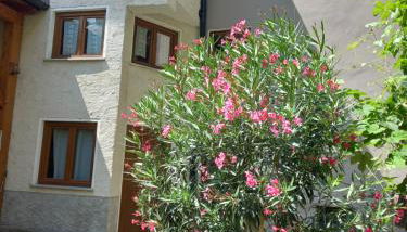 Valtellina Grosotto Holidays - Foto 3, Garden