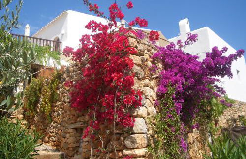 Can Pardal - Foto 19