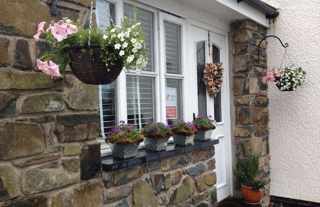 Snowdonia Snug - Foto 18