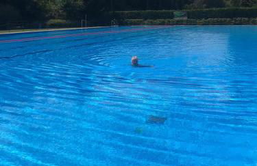 Exklusives Appartement mit Flair - Foto 27