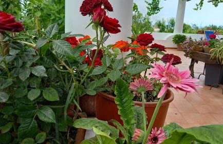 Agriturismo SoleMare - Foto 17