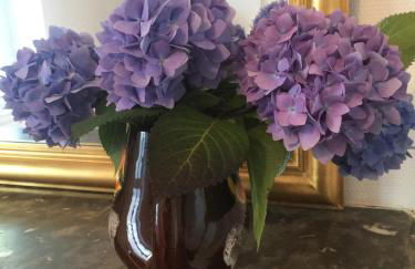 Charmant appartement ancien, lit 160 - Foto 7