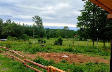 Agroturystyka Zielony Domek - Apartament na wyłączność, slow life, staw, oswojone zwierzęta gospodarskie, posiłki z własnych eko produktów - Foto 8