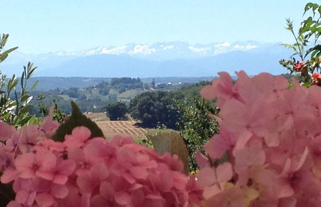 Gite Au Bouzigues - Foto 45