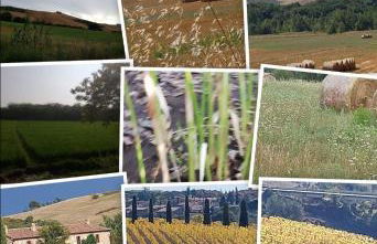 Molino della Tuoma - Foto 31