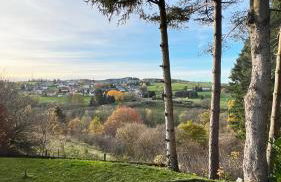 Design Chalet Vulkaneifel - Foto 27