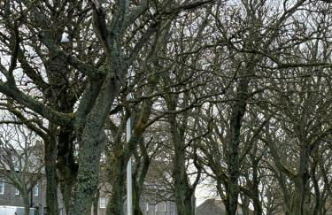 Argyle House Wick - Photo 23