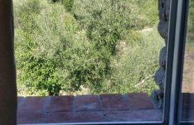 Le Moulin de l'Ostriconi - Foto 40