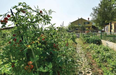 Three-Bedroom Holiday Home In Dicmo - Foto 31