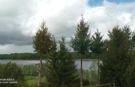 Chatka Leo - Foto 31