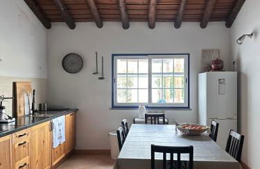 Wine under the Stars - Foto 25