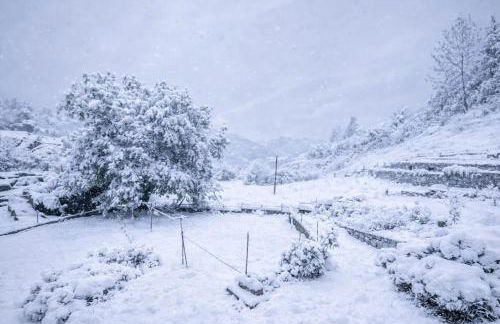 Insel Paradise - Foto 38