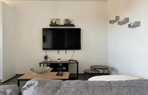 Appartement Le 202 - Tain l'Hermitage - Foto 11