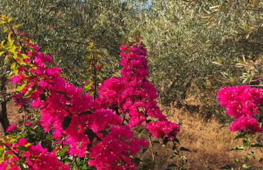 Sea view Goldins house - Foto 40