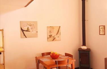 Shanti - Mare, Lago di Bolsena, Terme di Vulci - Foto 28