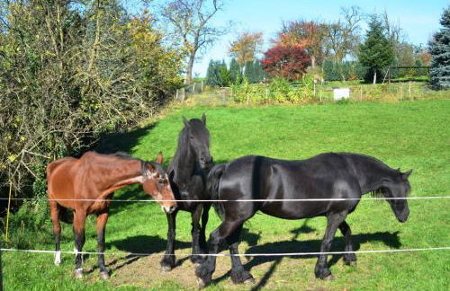 Hochlandappartement - Foto 38