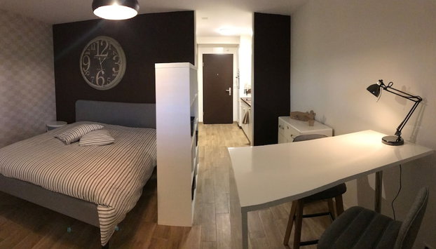 Large Studio Near Epfl And Lausanne City Center - Foto 2, Zimmer