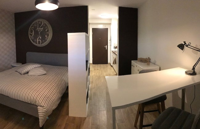 Large Studio Near Epfl And Lausanne City Center - Photo 2