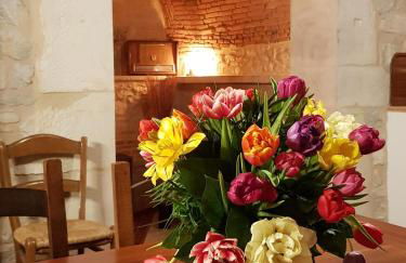 Gites chez Antonin - Foto 31