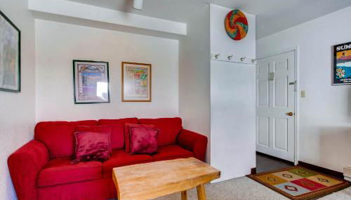 View Of Mt Crested Butte- 1 Br Condo - Foto 5