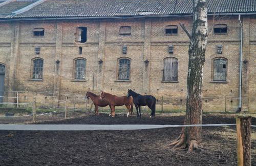 Apartament w Centrum z wanną z hydromasażem - Foto 38