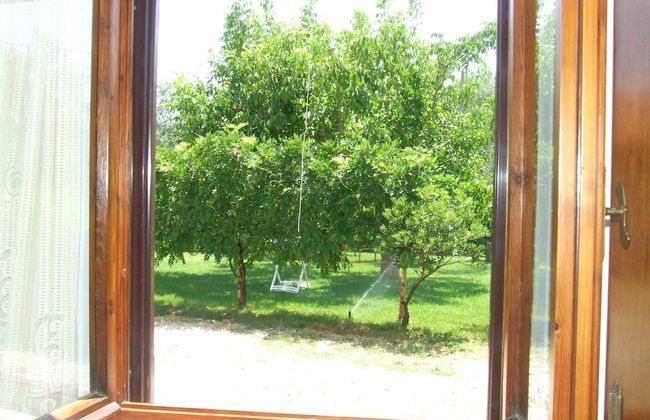 Agriturismo Il Punto Verde - Foto 45