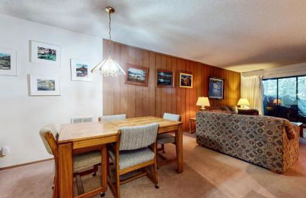 Summit Condominium #267 Condo - Foto 10