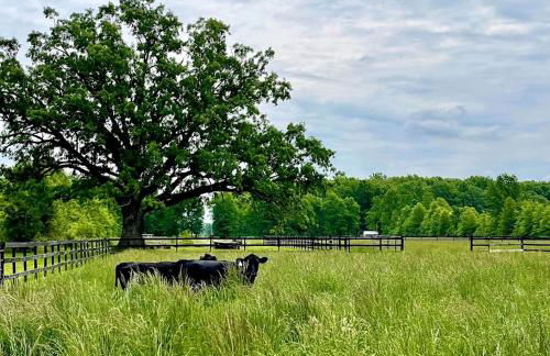 Charming Cabin Surrounded by Woods and Fields in Oberlin, Ohio - Foto 9