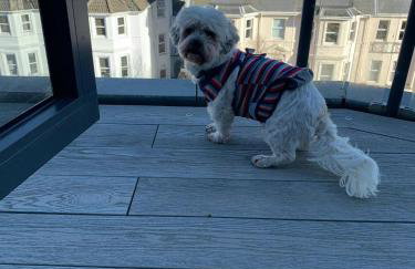 Beach Penthouse Apartment Bournemouth - Foto 19