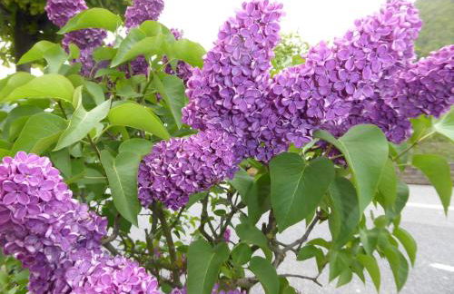 Ferienwohnungen im Moseltal - Foto 79