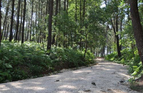 Quinta da Serrana - Foto 23