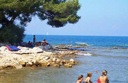 Guest House Mareda Palms - Photo 23