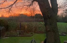 Lavender Cottage - Foto 35