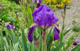 Auszeit an der Aisch - Foto 16