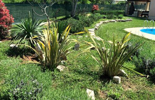 Villa Malini - Foto 36