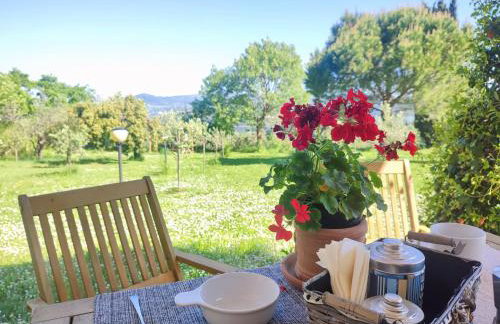 Agriturismo Antico Podere Il Polveraio - Foto 60